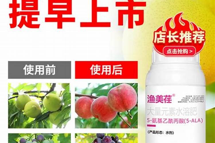 怎么让果子快速上色,用什么办法效果好