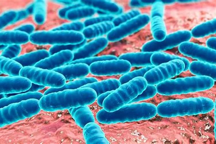 花生喷施硼肥的最佳时间