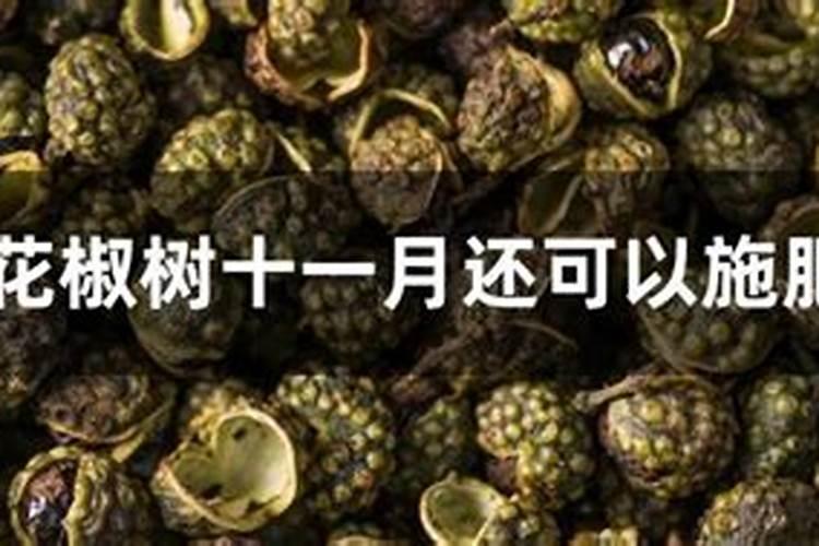 备孕期妇女要注意补钙,怎么做才是正确的？