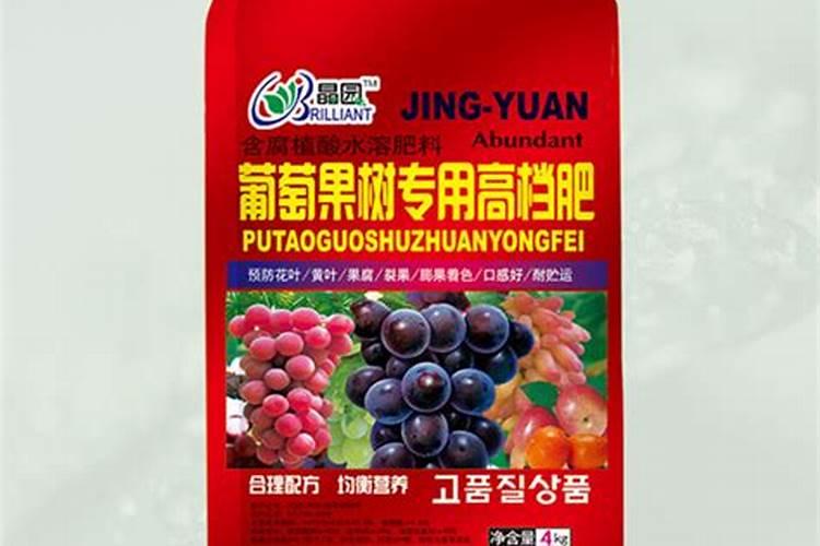 大蒜防冻剂什么时机喷最佳