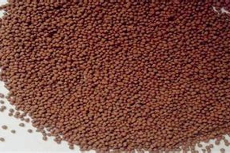 叶面肥什么时候打合适