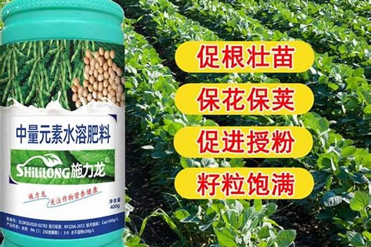 黄豆开花用什么药能高产 种一亩纯利润多少