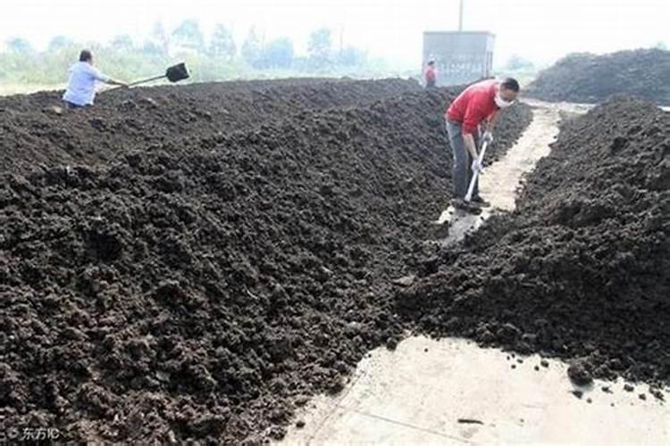 草缸中的水草如何养护呢？