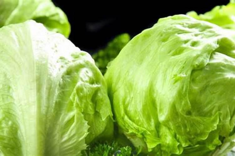 氮肥可以促进球类开花吗？