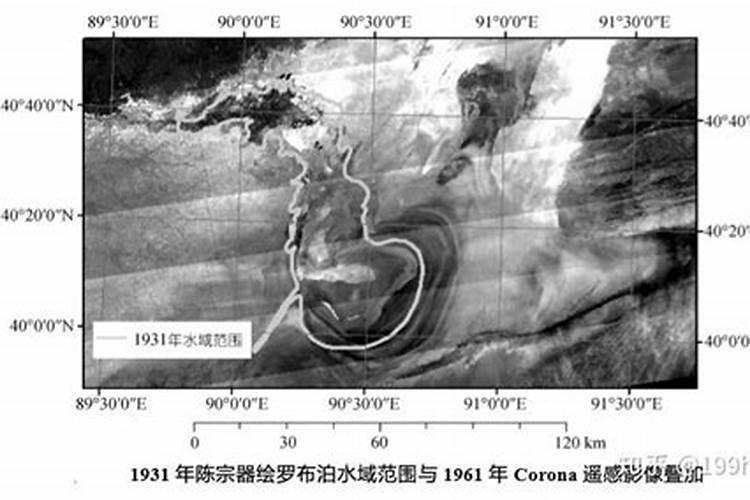 蝴蝶兰夏天多久浇一次水