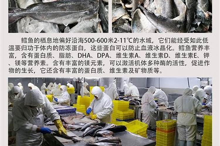 化肥是怎么样生产