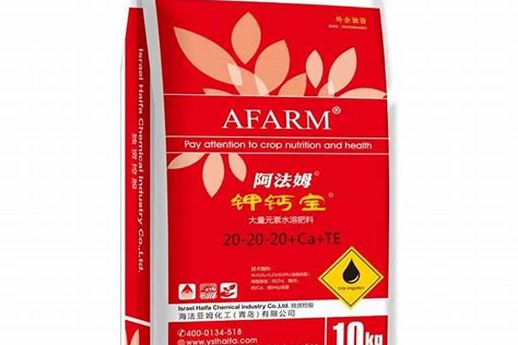 通辽新玉米是什么时候上市