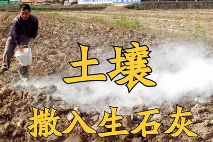 自制水溶肥,附水溶肥的标准