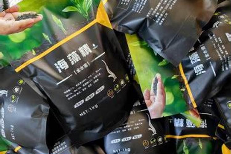 阳光玫瑰葡萄保果和膨大为什么加海藻精？