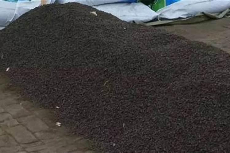 给植物施肥时应以农家肥为主配合施用化肥吗？