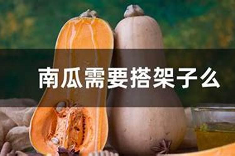 高温季节能不能给猕猴桃树喷施叶面肥？