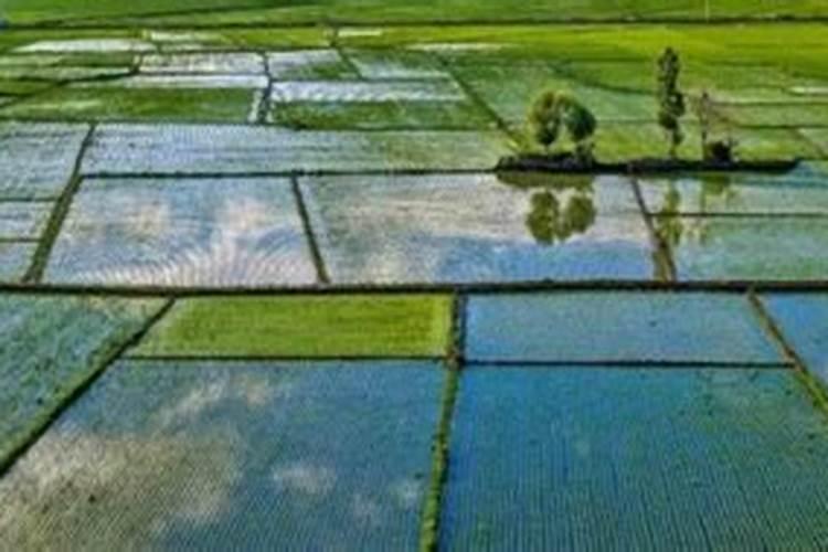 鱼塘用复合肥肥水一次用多少