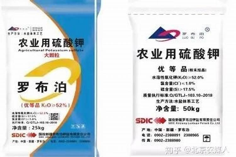 西瓜移栽后几天浇一次