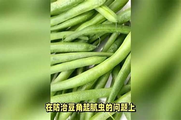 豆角追肥用什么配方的好