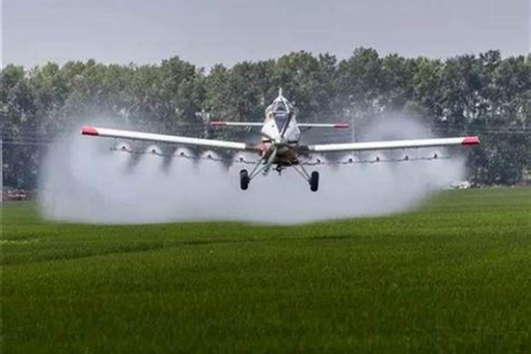 含硫氮肥对作物起什么作用