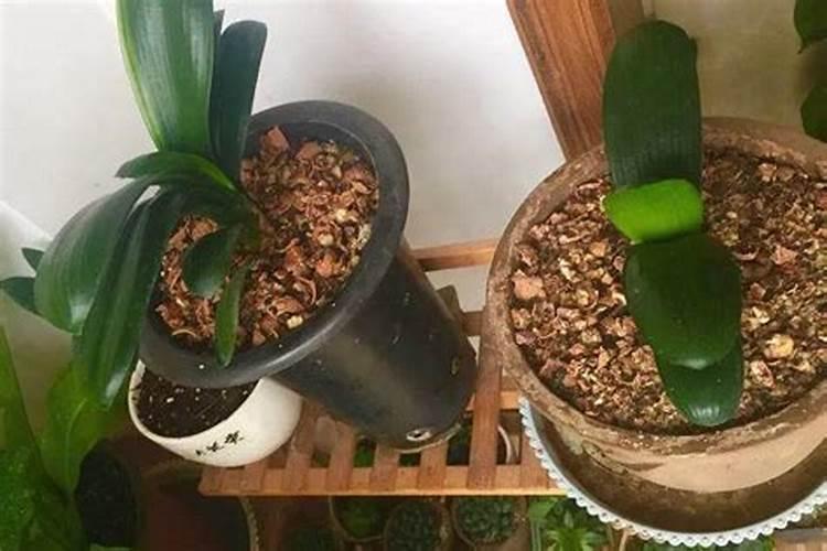 氮肥磷肥钾肥区别和作用