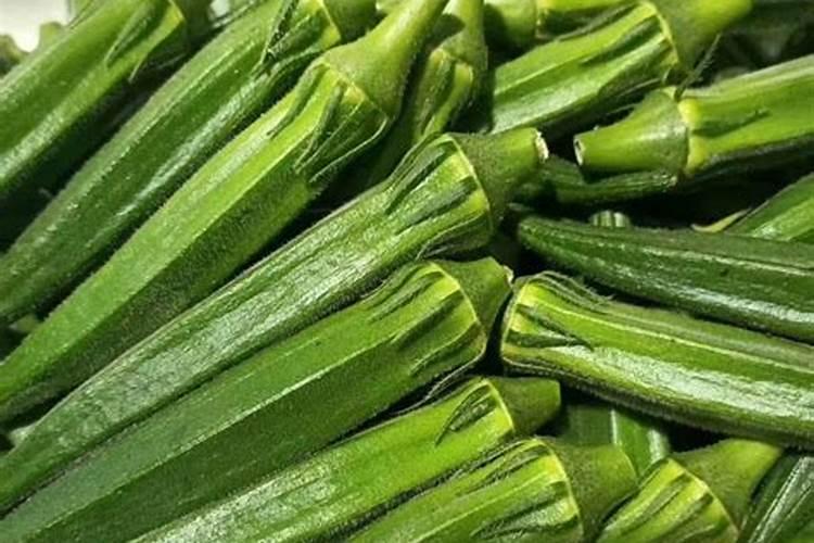 秋葵用什么肥料最好