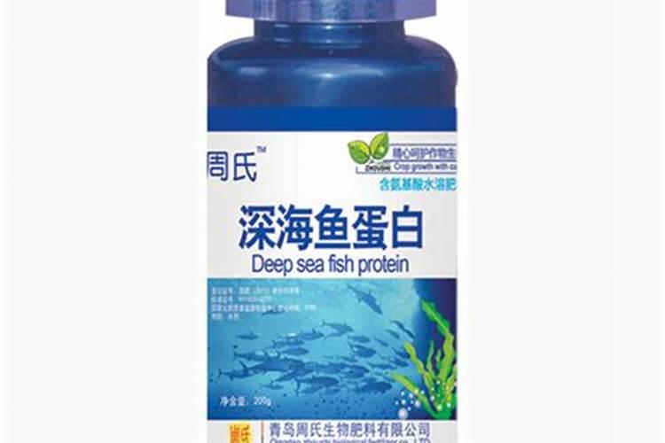 弄开鱼肚发现什么