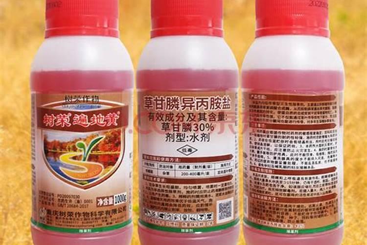 洋丰集团的发展历程