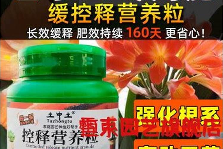 兰花用什么肥料最好？