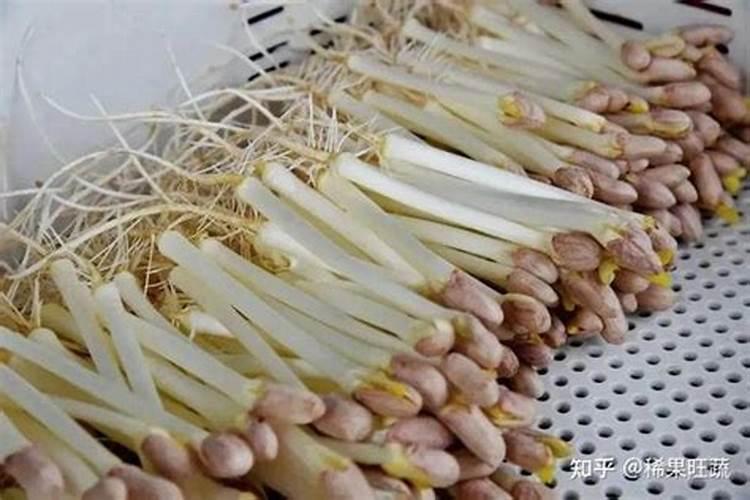 花生应该施含什么最多的肥