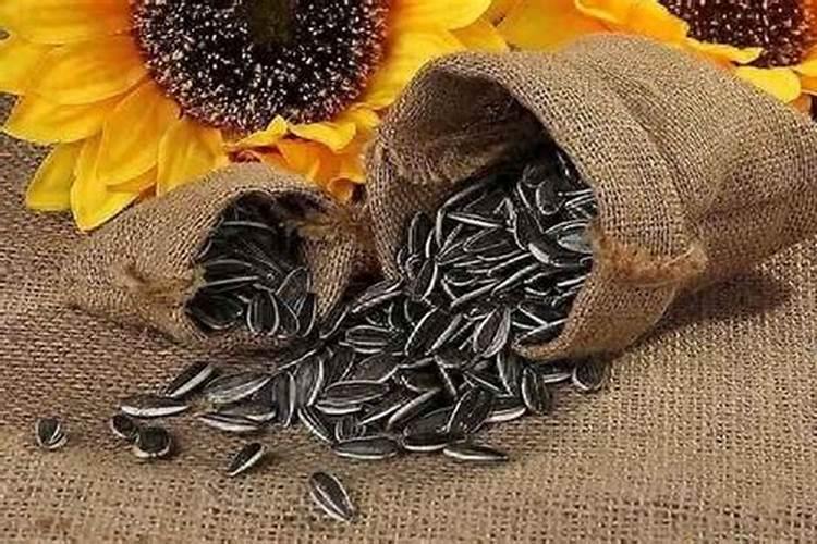 中量元素有什么作用