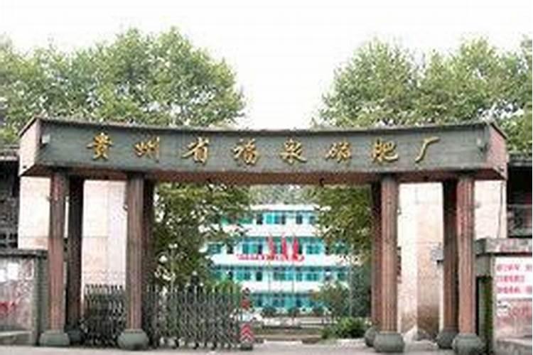 南瓜的营养价值？