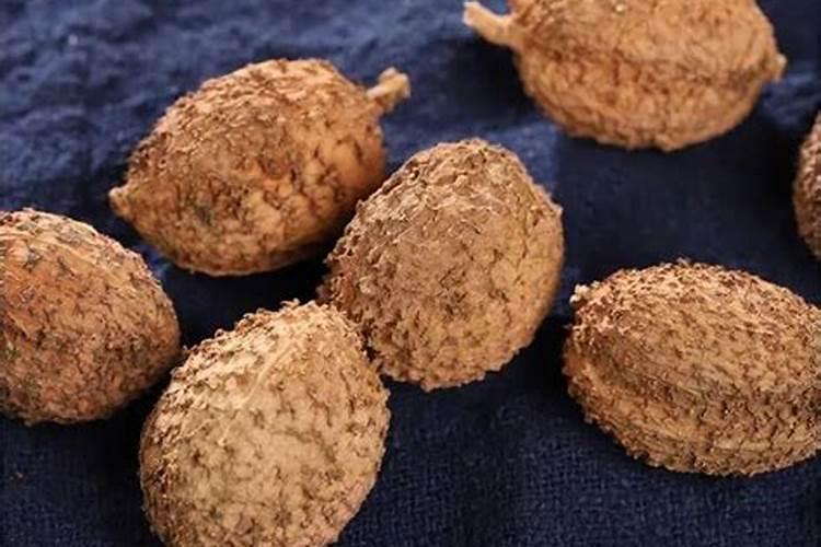 种植砂仁方法是什么 肥量在一亩一吨左右