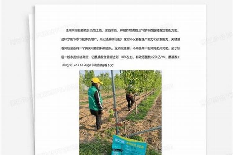 大葱用什么叶面肥效果好？大葱根茎块膨大素哪家好？