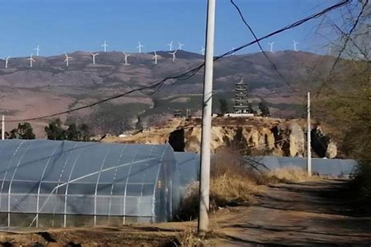 高钾大量元素水溶肥哪个牌子的比较好,