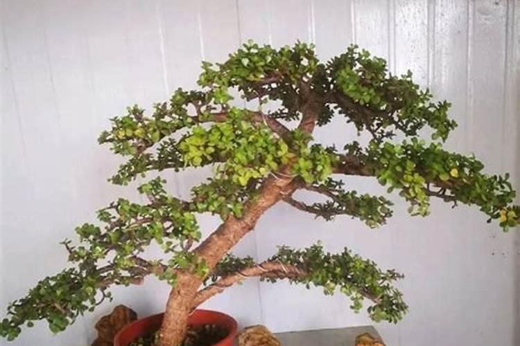 谁有广西的药企企业目录？全面最好!