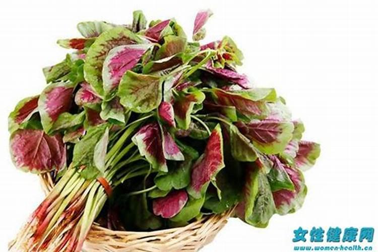 种柑橘用什么肥料最好