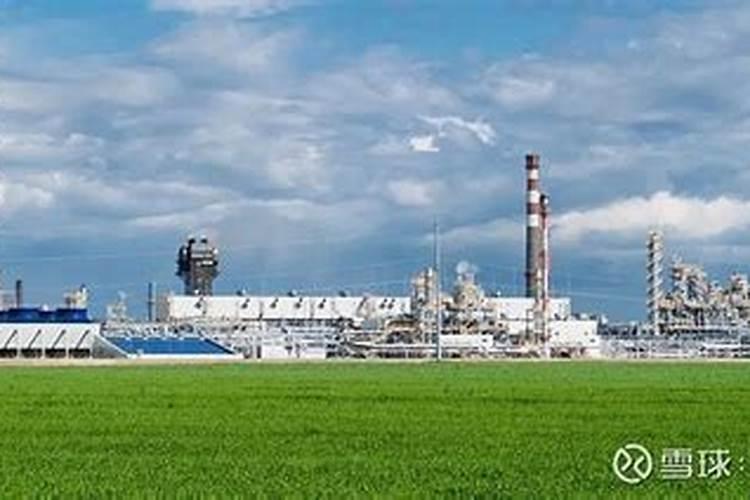 钾盐和钾肥的区别在哪