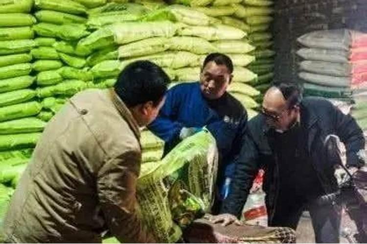 种西红柿需要施加什么热性肥料？