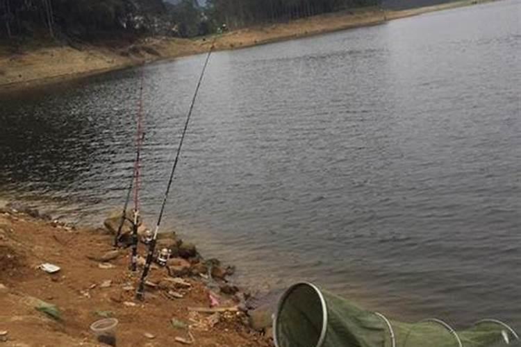 怎样在鸡粪水库钓鱼