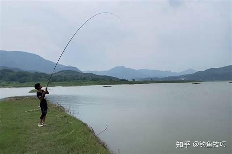 鱼塘肥料怎么钓鱼