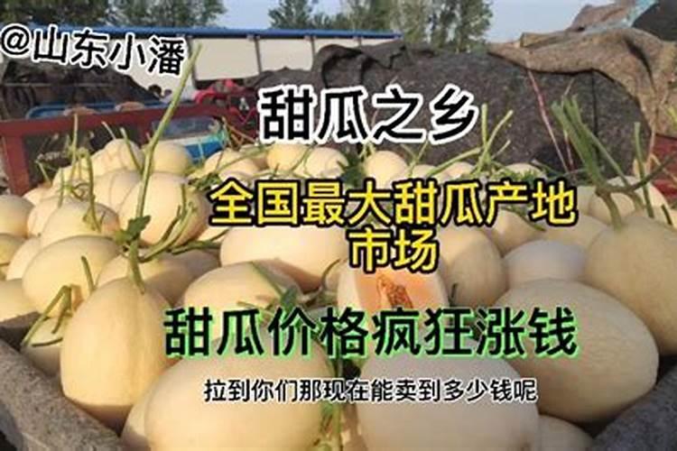 让甜瓜快速增甜的几种方法