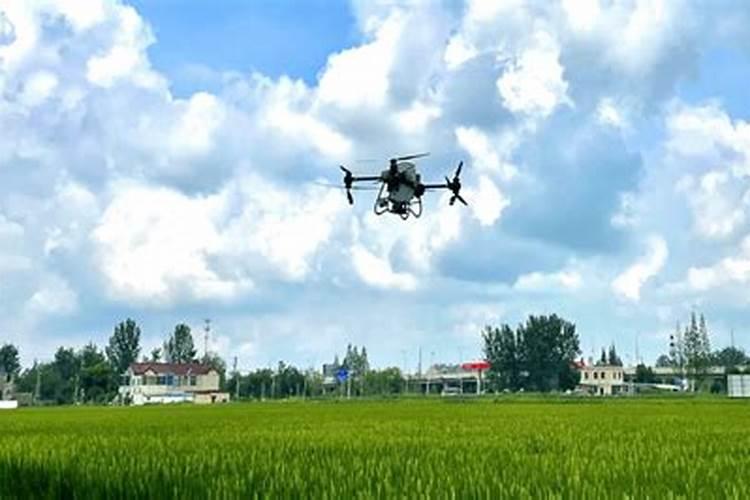 土豆喷施什么肥料好？土豆用什么叶面肥好？