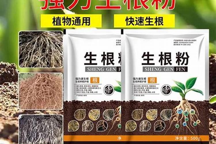 水稻秸秆有什么用途