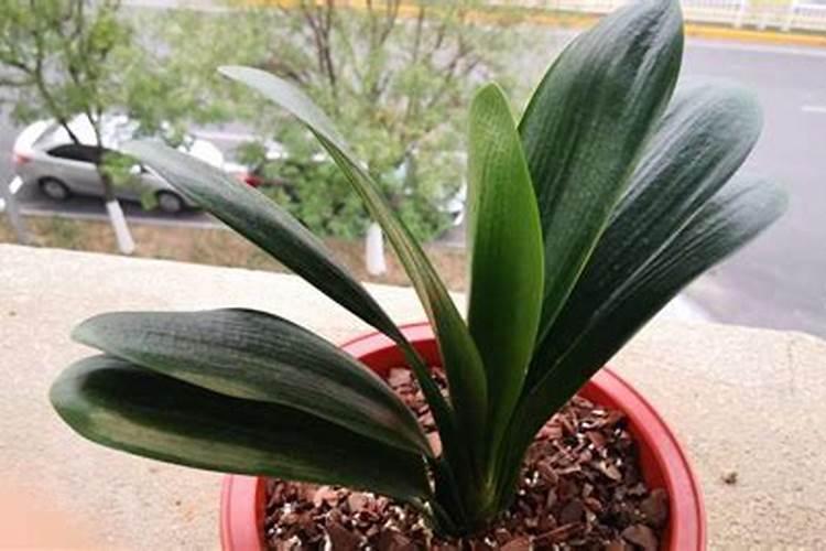 蛋白质中氮的含量