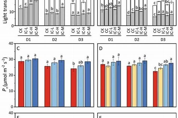 含碱量高的碱性食品有那些？