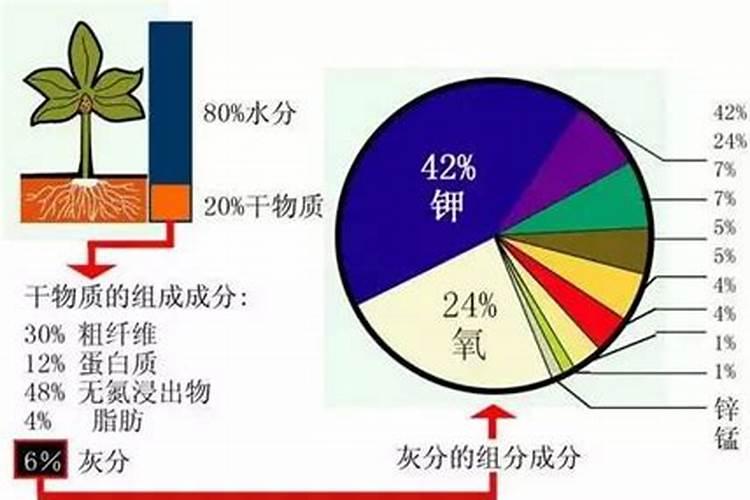 大量元素肥料和微量元素肥料有什么区别