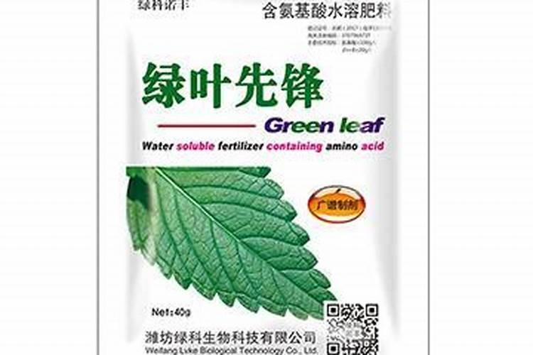 月季僵苗了怎么办 花娘教你六大招打破僵苗