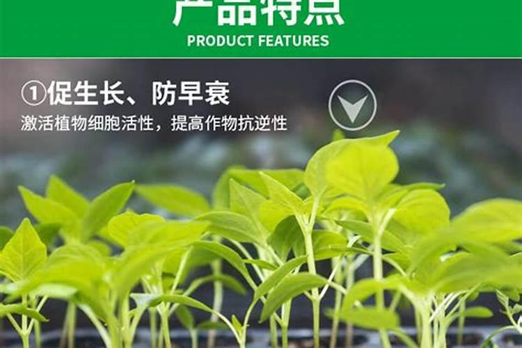 花卉叶面肥多久喷一次比较好 叶面肥打多了有害吗