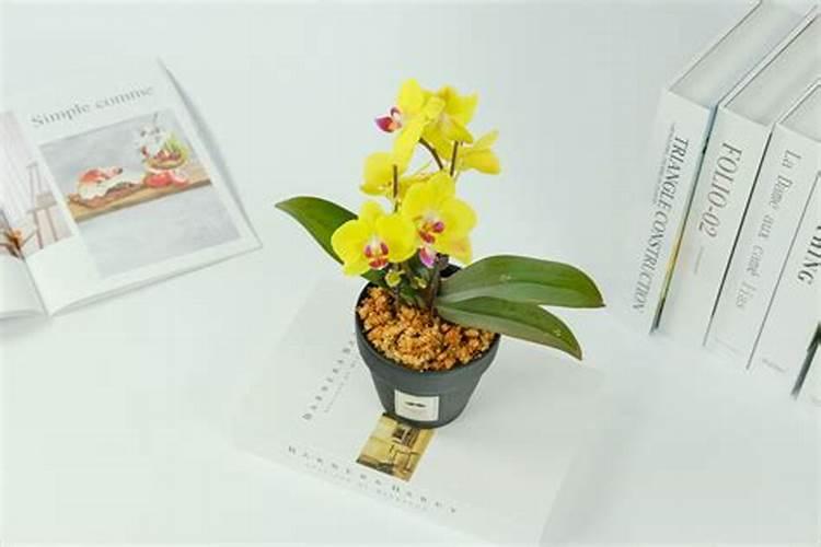 为什么黄豆用水泡后变烂了,一捏就碎？