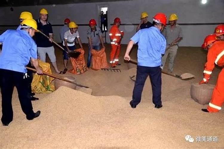 米饭坏了。怎么做成肥料种花？熟的