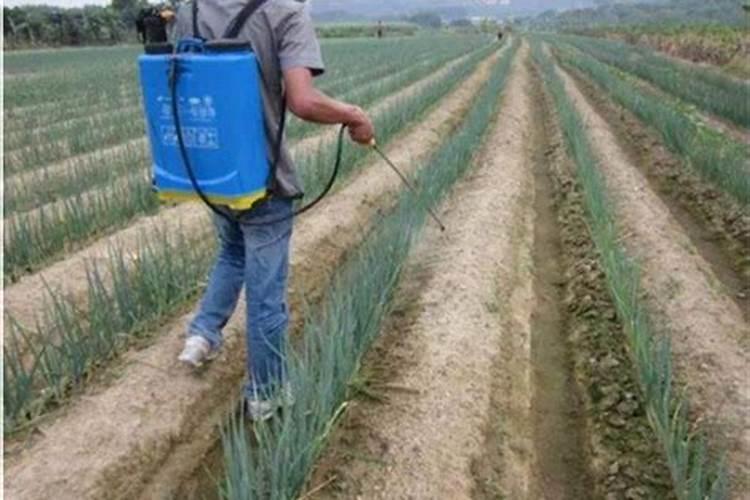 红糖加尿素加磷肥肥水养鱼一亩用多少比例