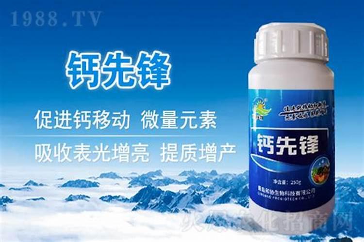 阴雨天对大棚西红柿的影响