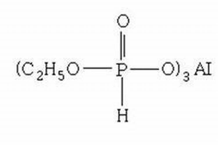 南瓜怎样种植与管理