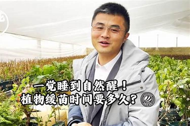 玉米苗移栽后几天施肥